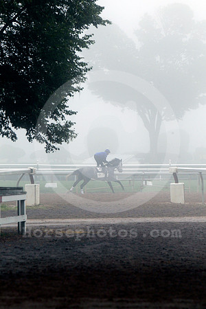 saratoga_morning272
