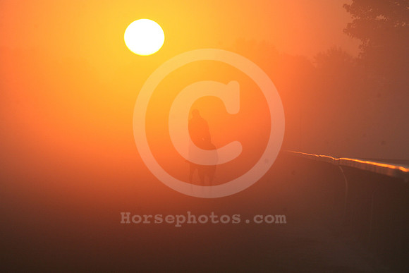 saratoga morning
