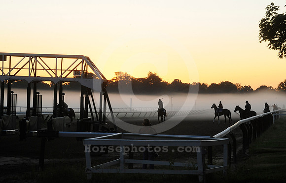 saratoga morning