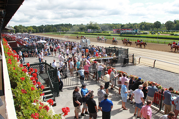 saratoga_grandstand152_st