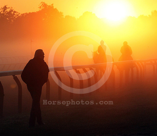 saratoga morning