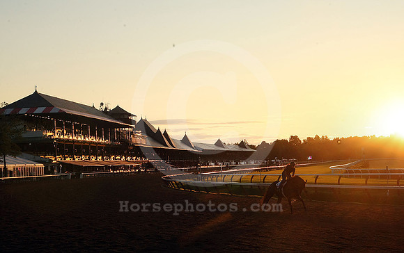 saratoga morning