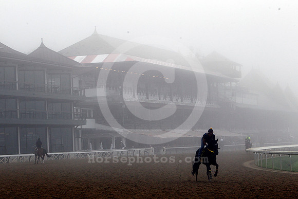 saratoga_morning268