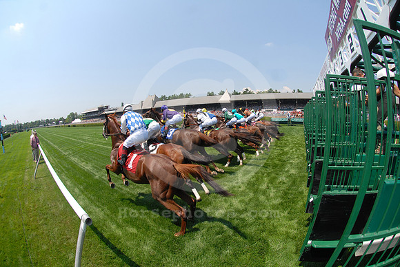 saratoga_racetrack22_jd