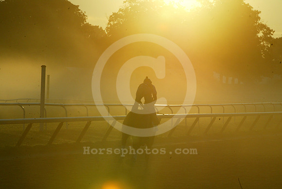 saratoga morning