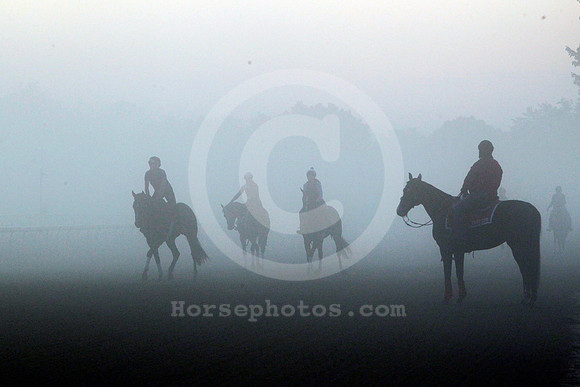 saratoga_morning256