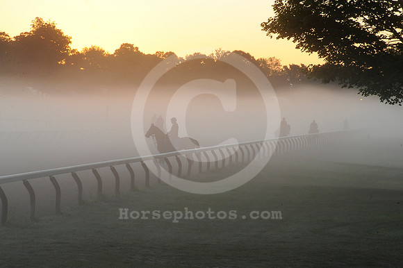 saratoga morning