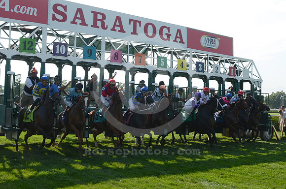 saratoga racing action