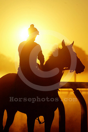 saratoga morning