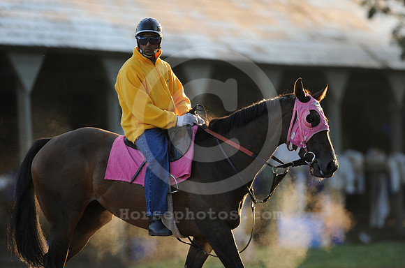 saratoga morning