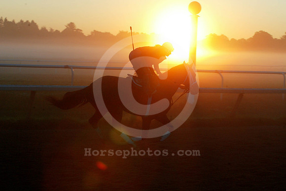 saratoga morning