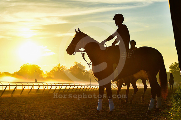 saratoga morning
