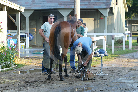 saratoga morning