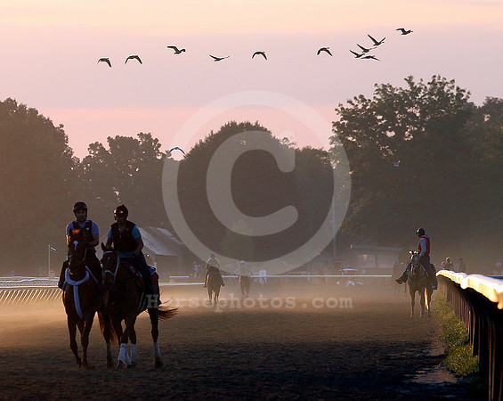 saratoga morning