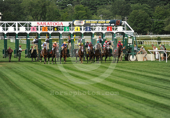 saratoga racing action