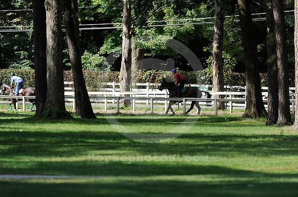 saratoga morning