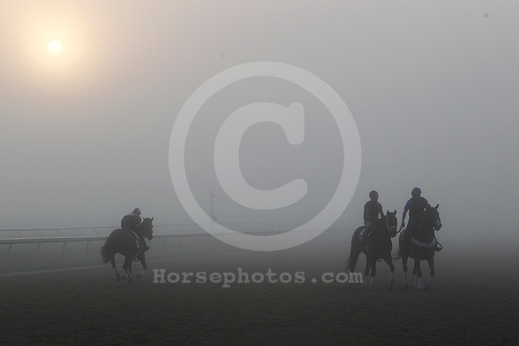 saratoga_morning281