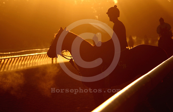 saratoga morning
