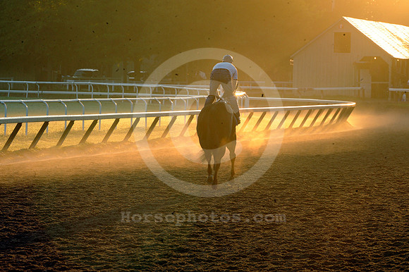 saratoga morning