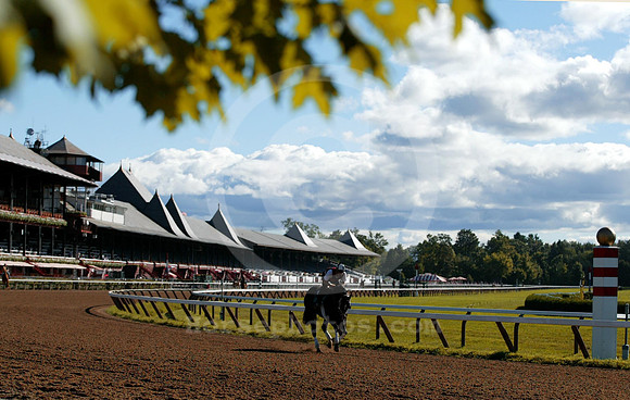 saratoga morning
