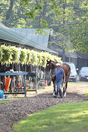 saratoga morning