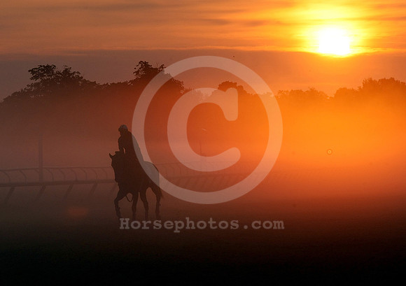 saratoga morning