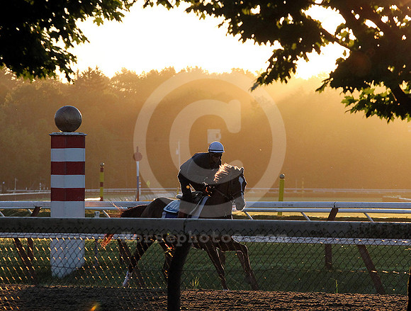 saratoga morning