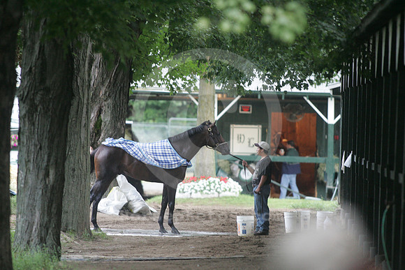 saratoga morning