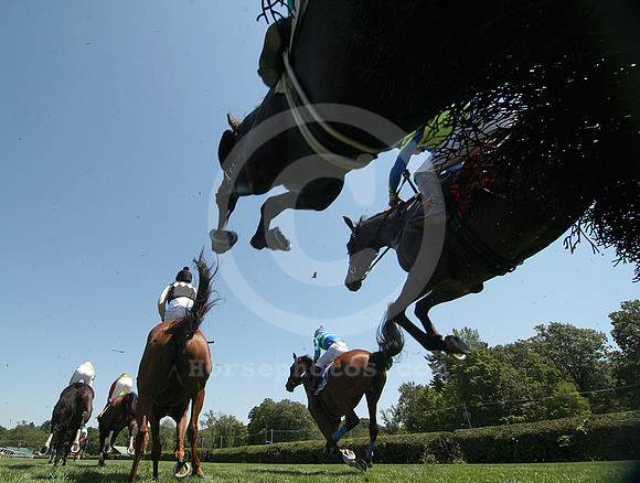 saratoga racing action