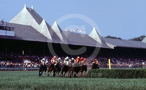 saratoga racing action
