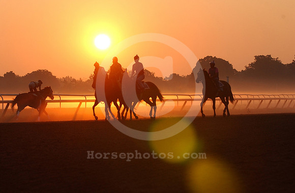 saratoga morning