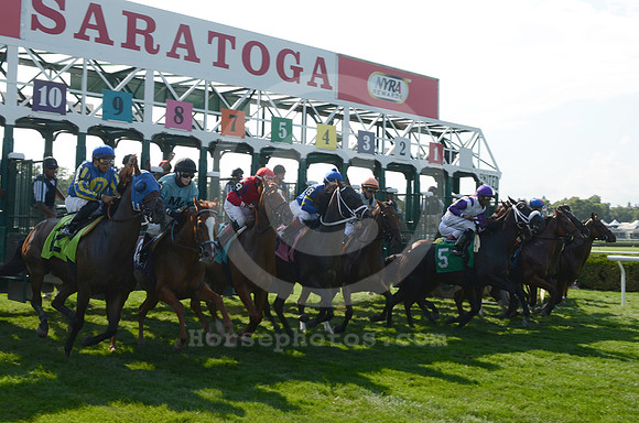 saratoga racing action