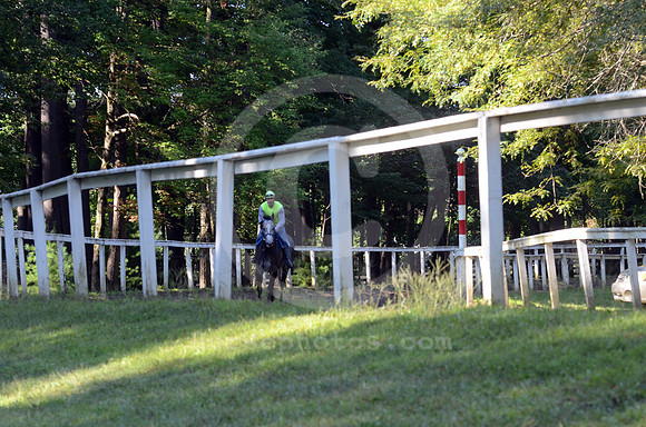 saratoga morning