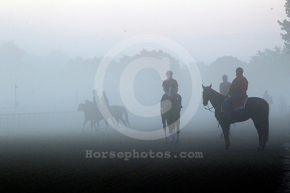 saratoga_morning254