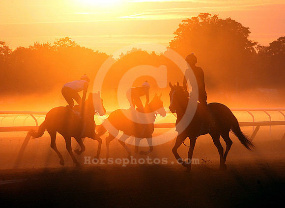 saratoga morning