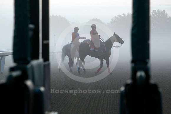 saratoga_morning251