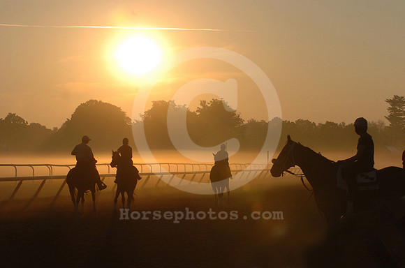 saratoga morning