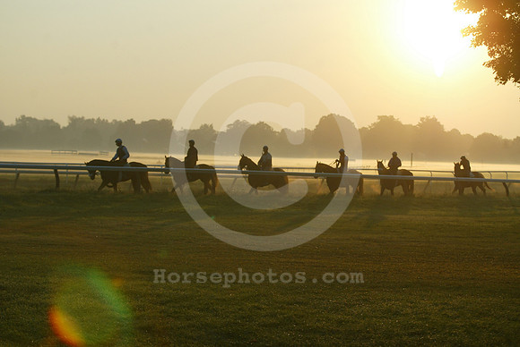 saratoga morning