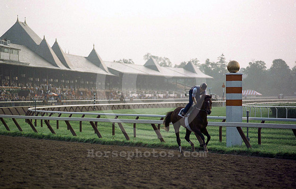 saratoga morning