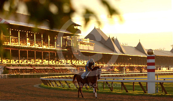 saratoga morning