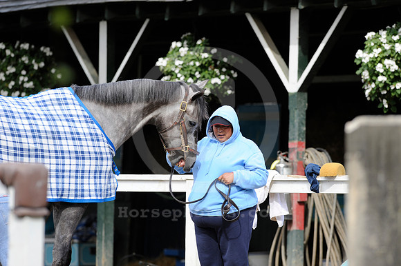 saratoga morning