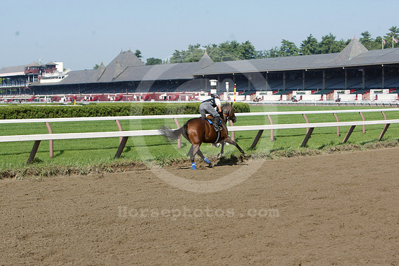 saratoga morning