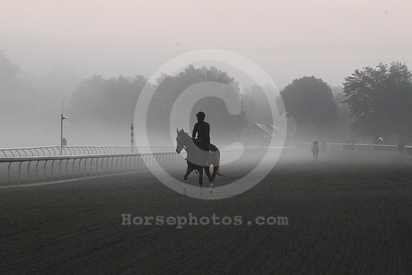 saratoga_morning259