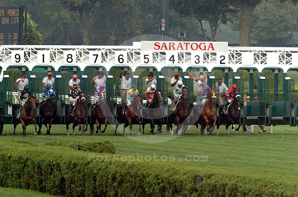 saratoga racing action