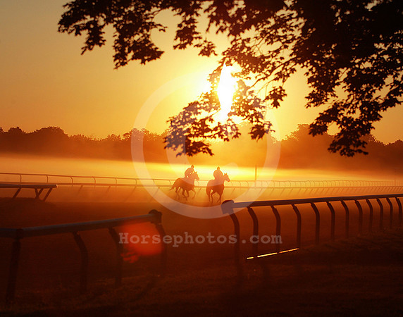 saratoga morning