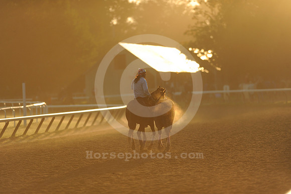 saratoga morning