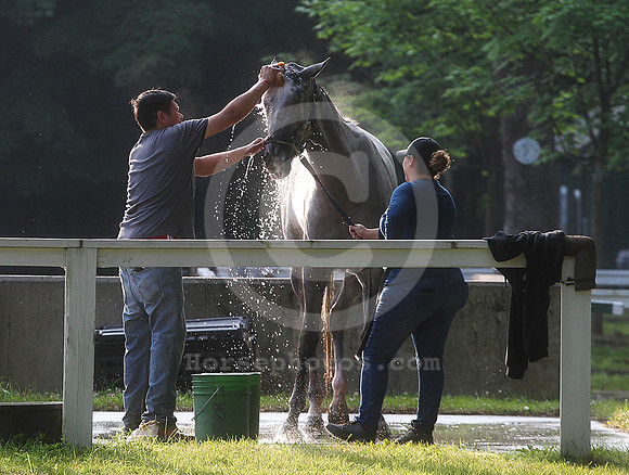 saratogamorning94_st