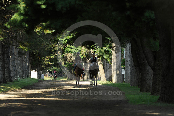 saratoga morning