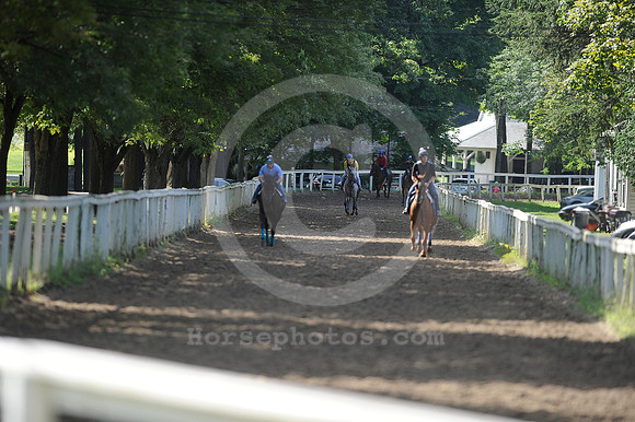 saratoga morning