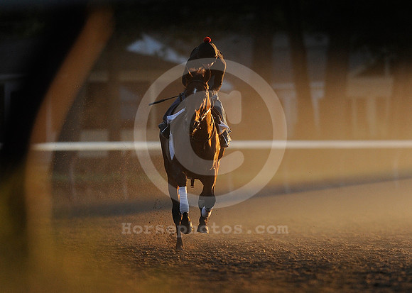 saratoga morning